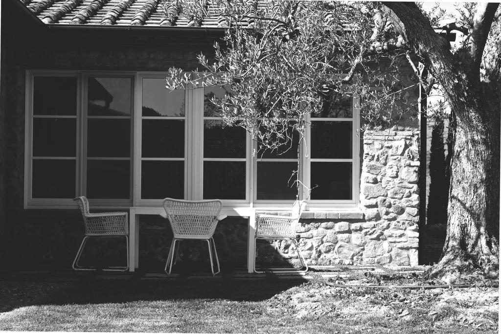 Villa La Salina Bibbona Dış mekan fotoğraf